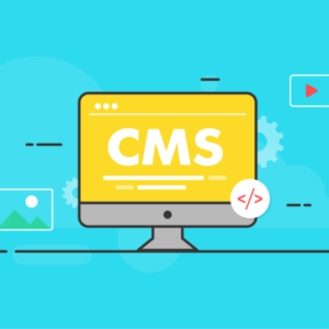 Managing and maintaining a CMS website