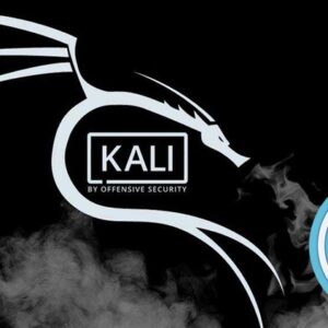 WordPress for Pentesters